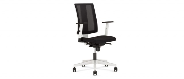 Navigo mesh