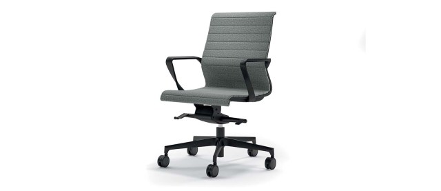 CITY VISITOR & MEETING CHAIR