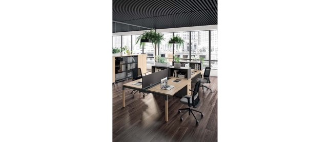 X4 Operative office