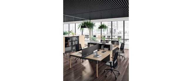 X4 Operative office