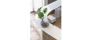 Reception GLASS