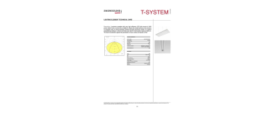 T-SYSTEM